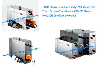 China Automatic Wet Portable Steam Generator supplier