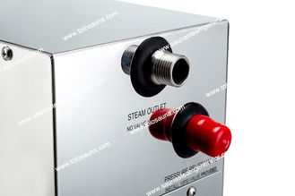 China Cuboid Commercial Steam Bath Generator , Electrical 3 phase Wet Steam Generator supplier