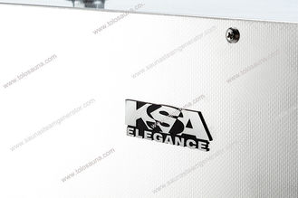 China Automatic Electric spa steam generator 16kw 3 phase with auto flushing supplier