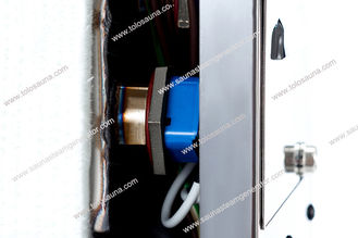 China 3kw Residential Steam Generator 110V with single phase for steam bath supplier
