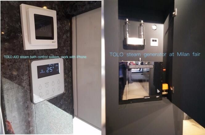 1 - 3 Phases Domestic Steam Generator / Electric Steam Machine , 110V - 380V