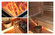 Cedar Sauna Cabins supplier